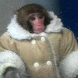 Meet your Posher, Da trap phone